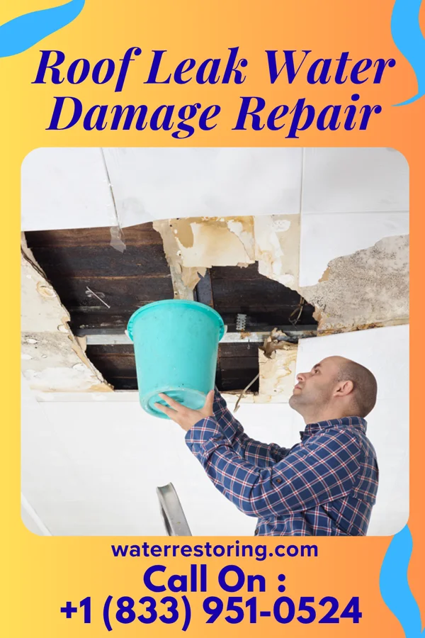 Roof Leak Water Damage Repair in Anna, TX